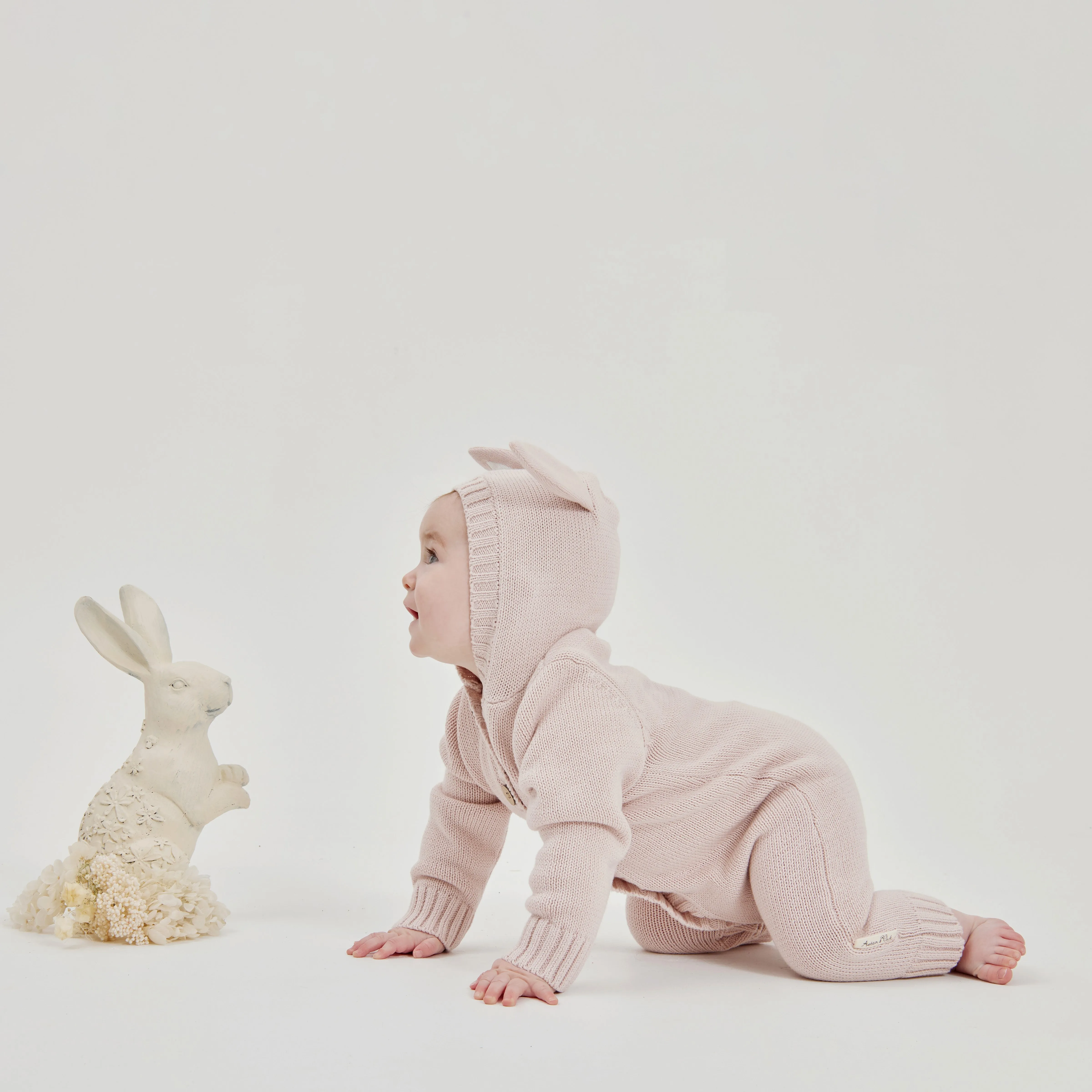 Organic Cotton Knit Romper Mauve | Bunny Ears