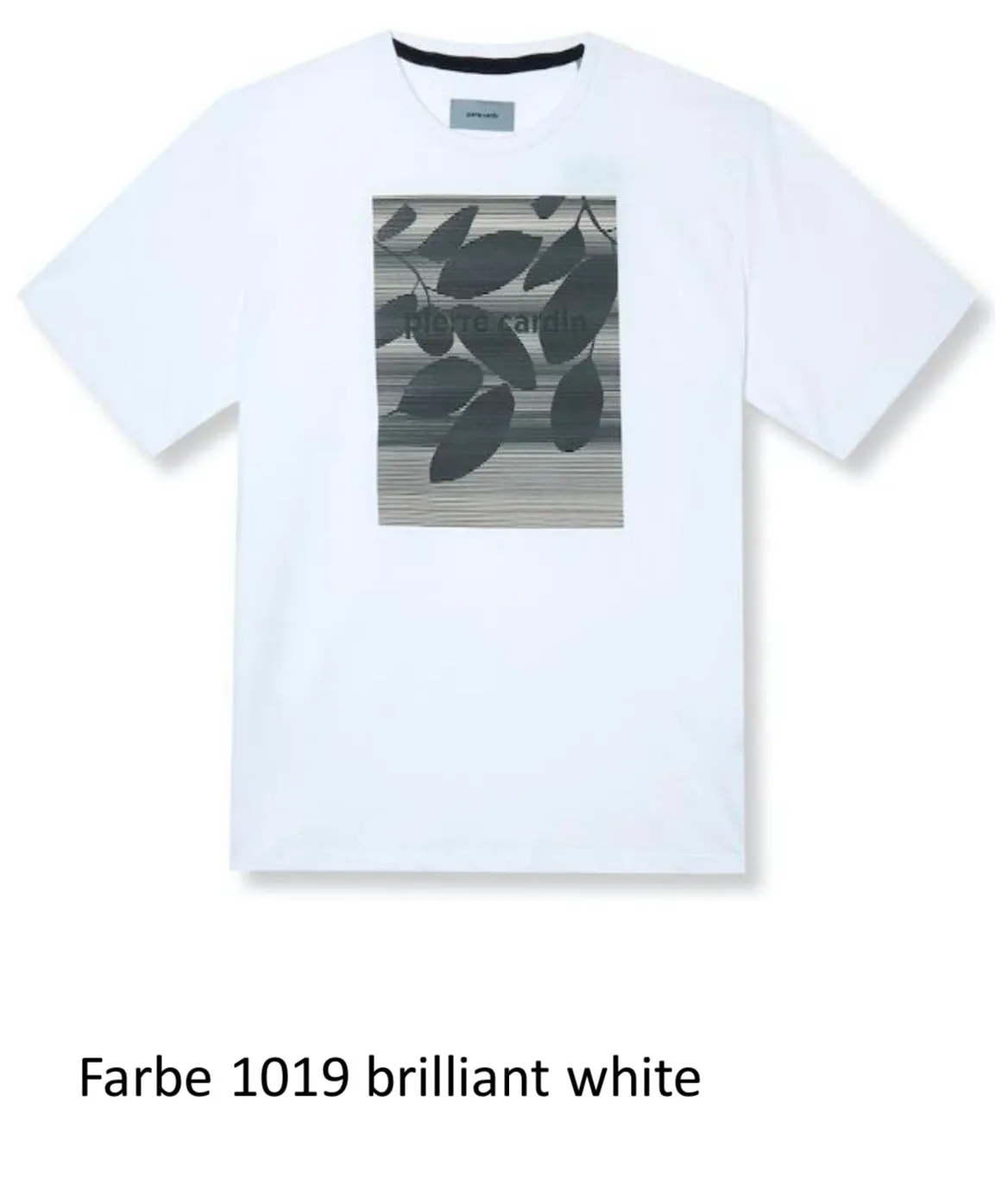 T-Shirt Pierre Cardin